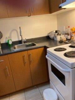 1165 West 13th Avenue #212 - Photo 4 of 17