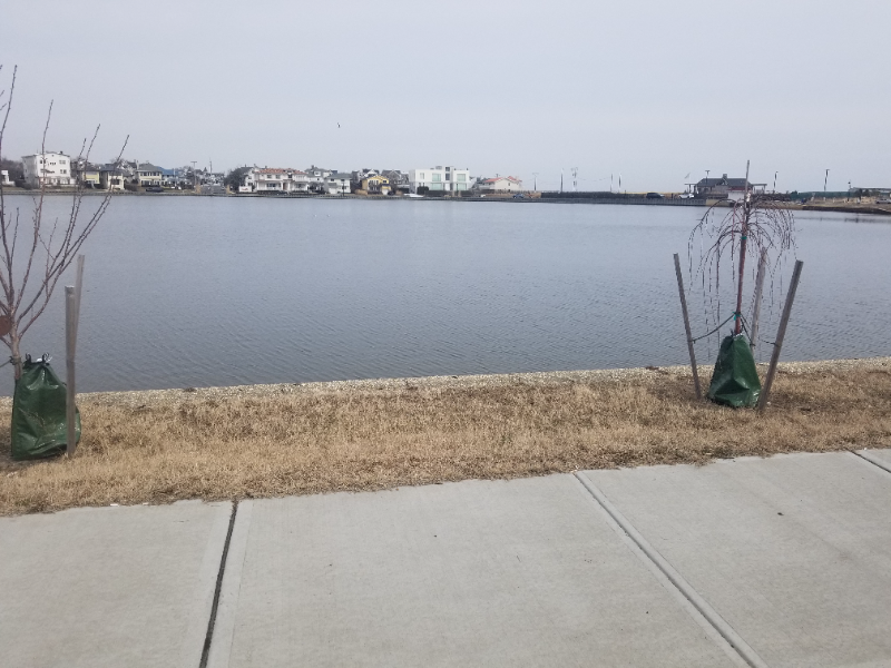 1700 Webb St #2G - Photo 5 of 17