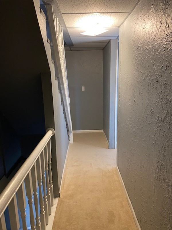 511 Abend St - Photo 7 of 13