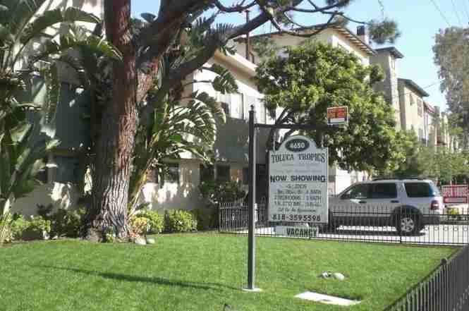 Toluca Tropics - Photo 2 of 2