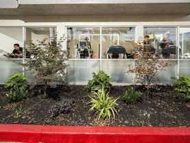 935 Willowleaf Dr - Photo 1 of 1