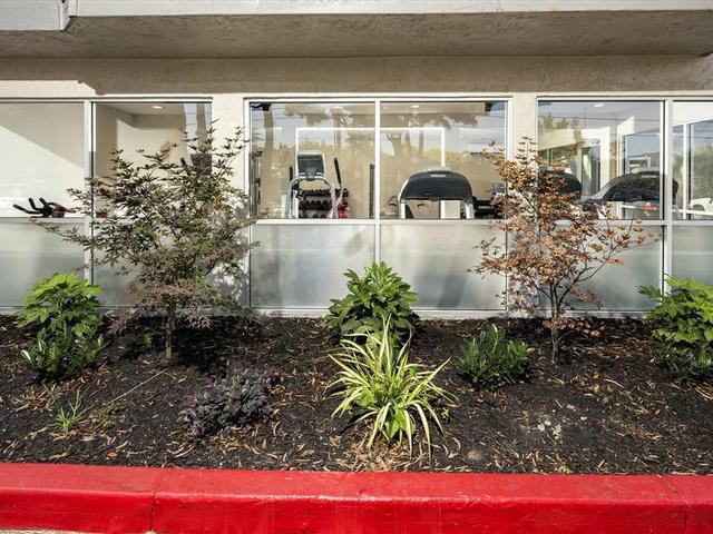 935 Willowleaf Drive - Photo 3 of 21