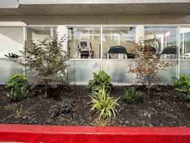 935 Willowleaf Dr - Photo 1 of 1