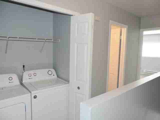4801 Pacer Ln - Photo 5 of 23