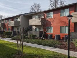 featured image of 2450 Peach Tree Dr