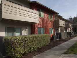 featured image of 2450 Peach Tree Dr