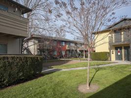 featured image of 2450 Peach Tree Dr