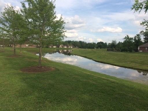 12228 River Walk Dr - Photo 2 of 3