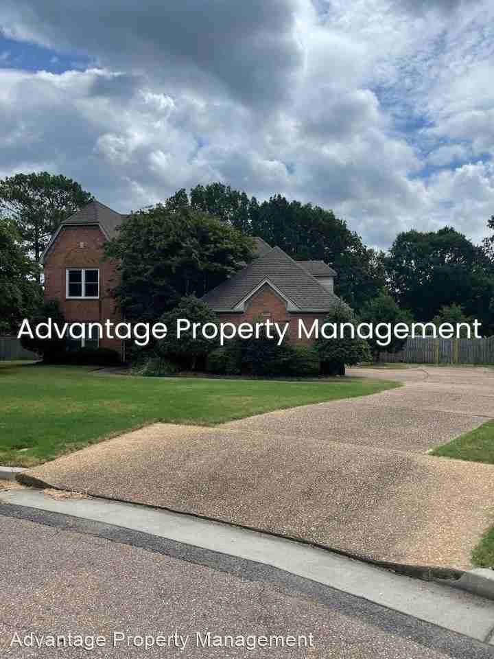 9599 Cherry Laurel Cv - Photo 3 of 33