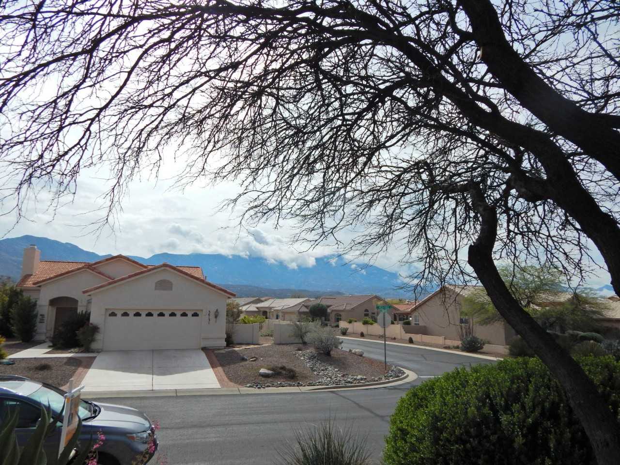 36118 Mesa Ridge Dr - Photo 2 of 14