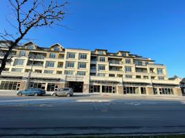 featured image of 20487 65 Avenue #B309