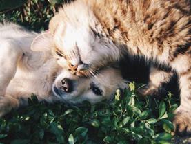 34050 Westchester Terrace - Photo 1 of 1