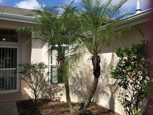 137 Verano Ct - Photo 2 of 12