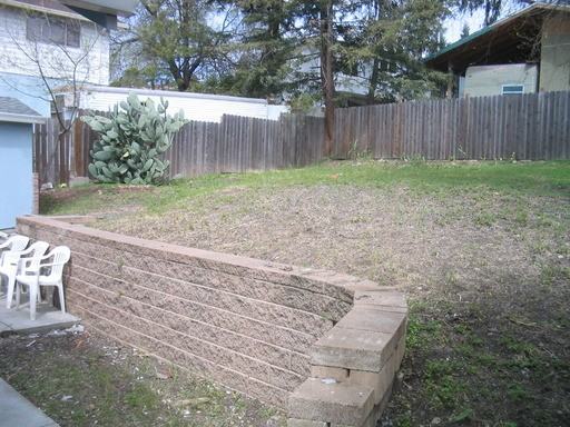 9812 Lawlor St - Photo 2 of 5