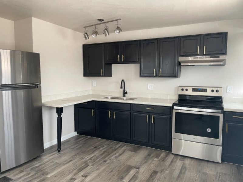 925 E Mckinley St #103