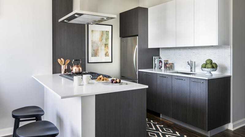 111 W Wacker Dr #3-3 - Photo 4 of 24