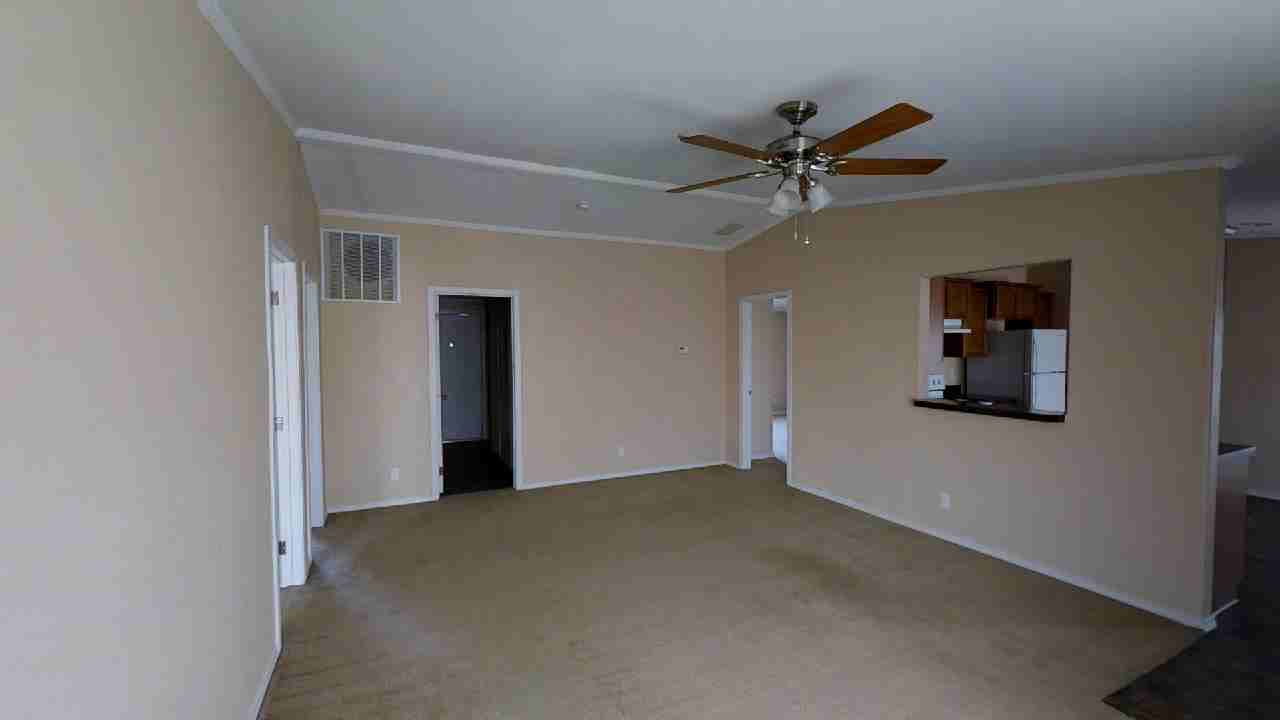 313 E Lime St - Photo 3 of 35