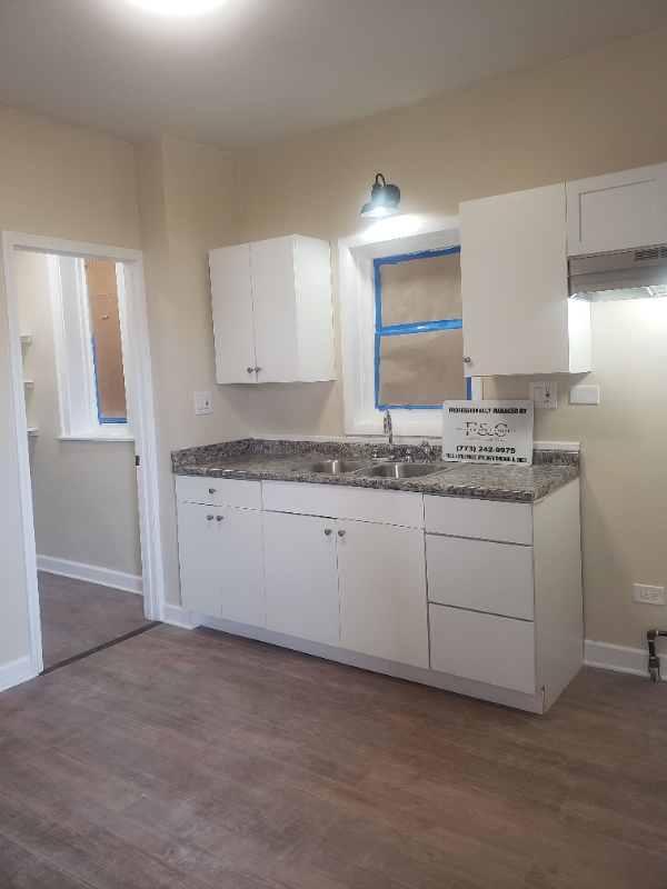 5347 S Laflin St #1 - Photo 2 of 4