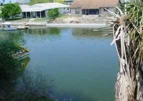 4039 Companero Entra - Photo 3 of 23