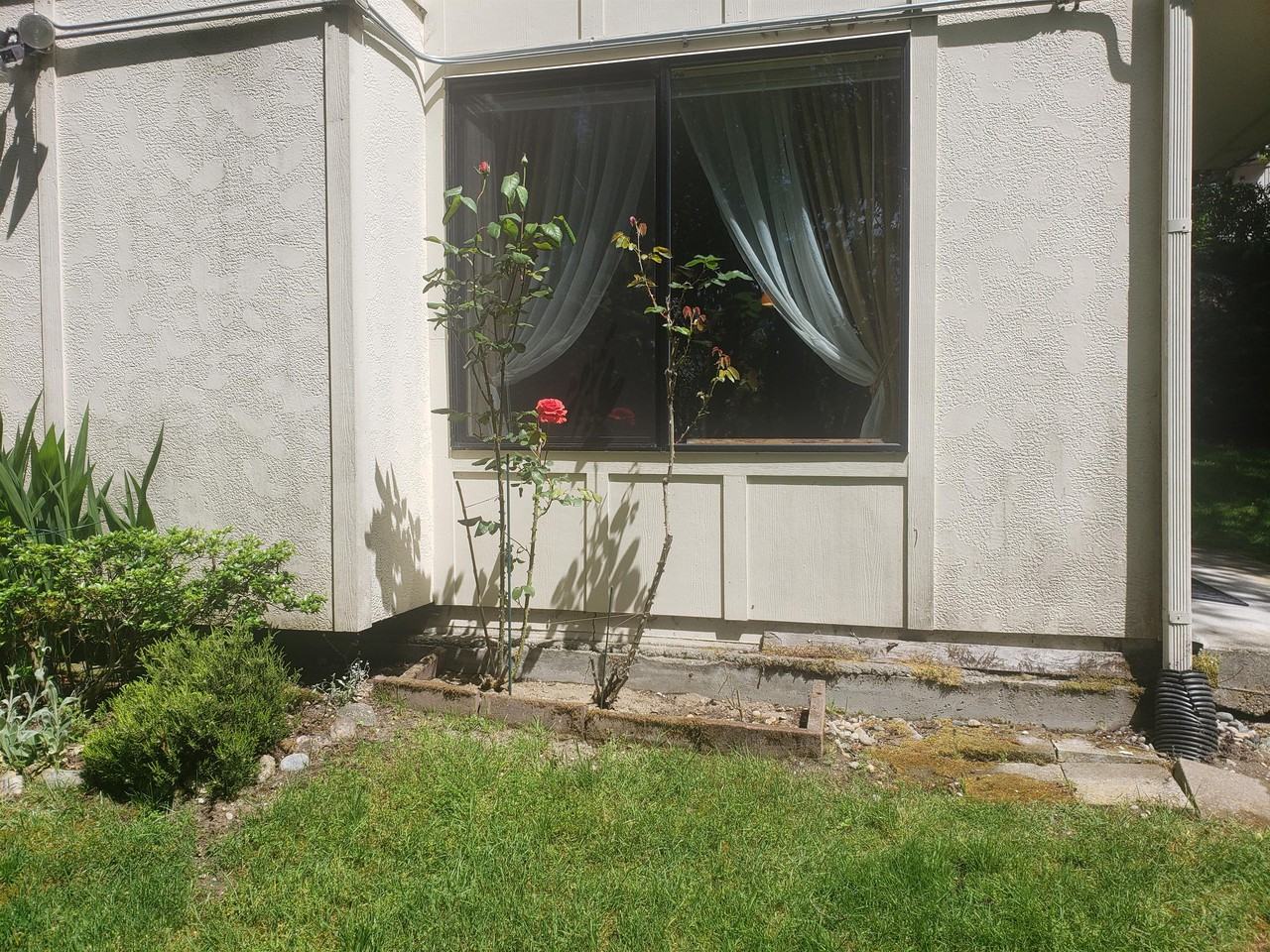 1249 Sw 132nd Ln #1 - Photo 6 of 21