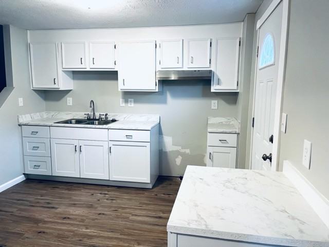 1256 Deer Lake Ct - Photo 3 of 16