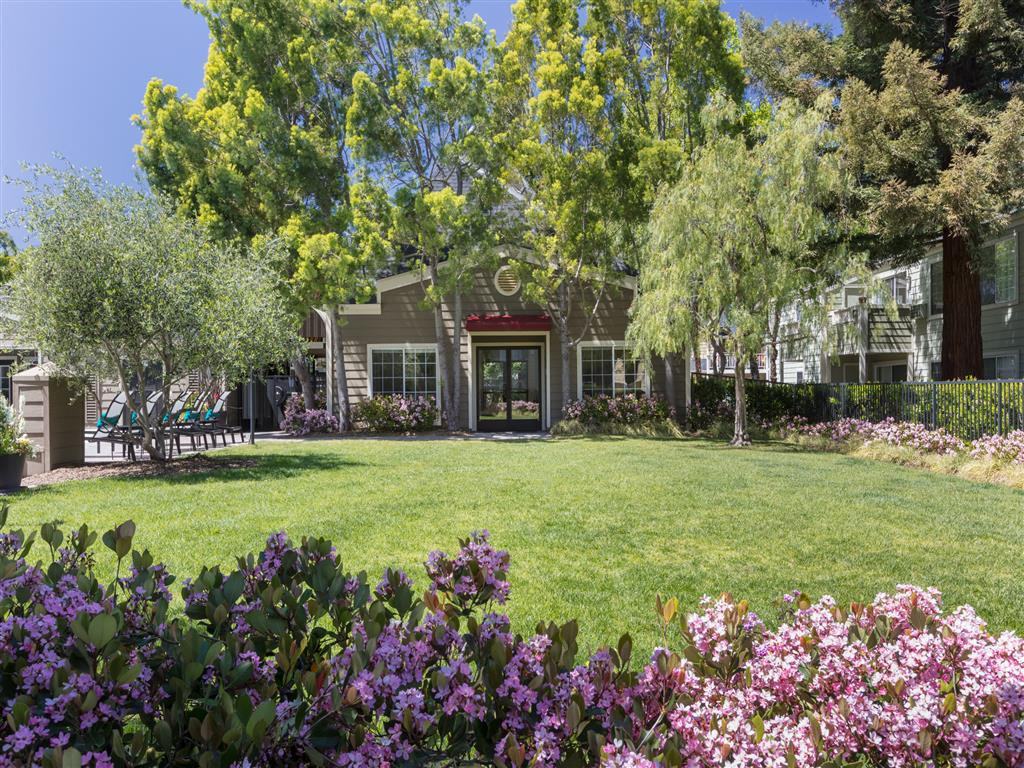 Central Park at Whisman Station - Photo 2 of 24