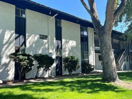 featured image of 4555 Yukon Court