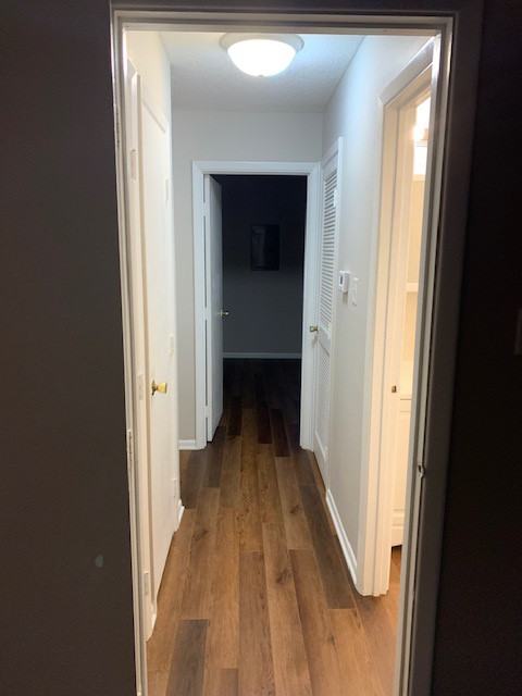 3320 Lupine Dr - Photo 7 of 10