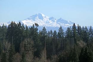 652 Whiting Way #2002 - Photo 1 of 1