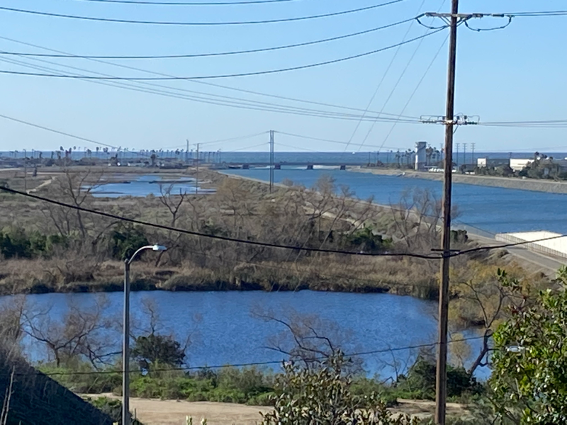 2151 Pacific Ave - Photo 5 of 15