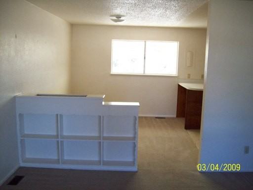 1315 Yosemite Dr - Photo 3 of 10