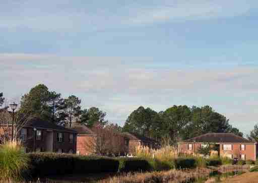 3679 Clay Pond Village Ln - Photo 2 of 7