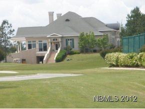 131 St Gallen Ct - Photo 3 of 15