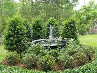 Botanica Apartments - Photo 3 of 6