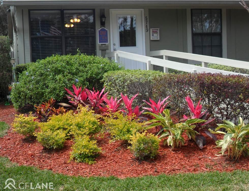 Wingwood - Photo 3 of 4