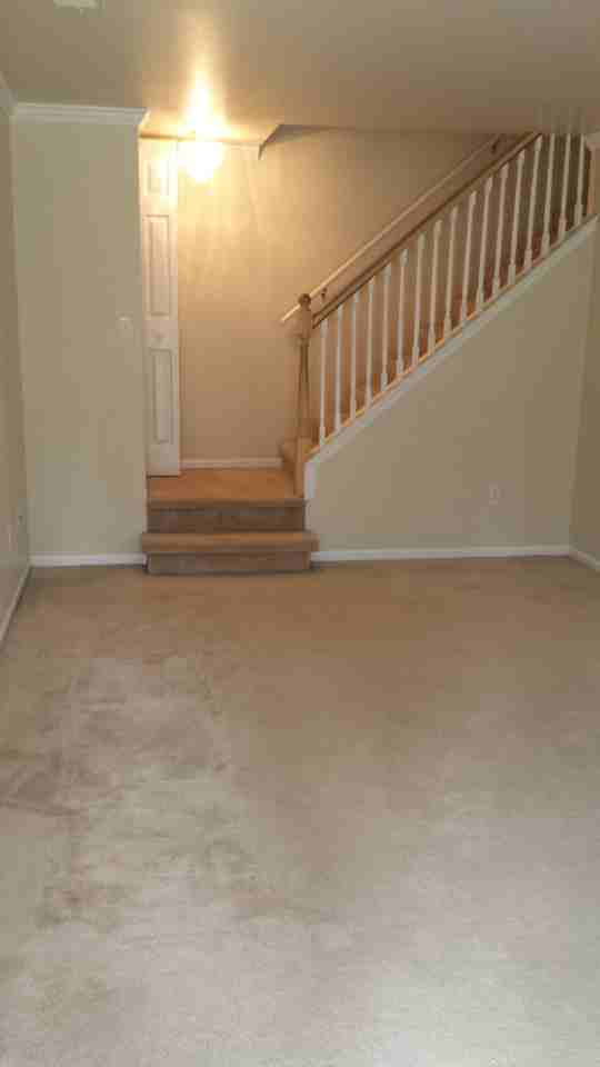50034 S Jimmy Ct - Photo 3 of 21
