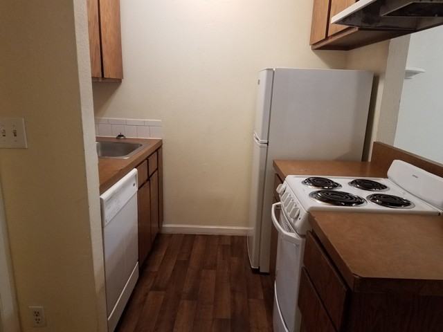 2537 Spruce St #3 - Photo 3 of 13