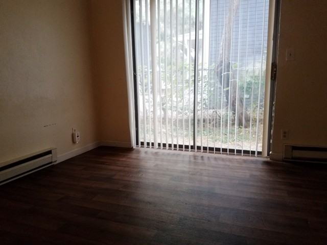 2537 Spruce St #3 - Photo 4 of 13