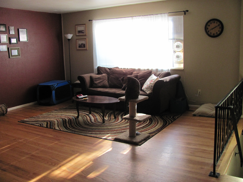 1121 Ponderosa Dr - Photo 5 of 29