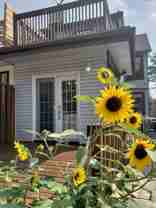 428 Westmount Avenue #Upper - Photo 1 of 1