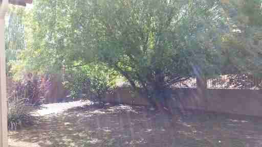 7665 Dusty Boot Rd - Photo 2 of 13