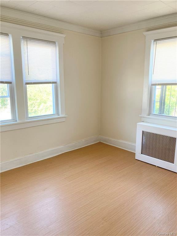 687 Yonkers Ave #2R