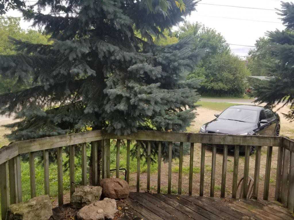 206 Lincoln Ave - Photo 3 of 12