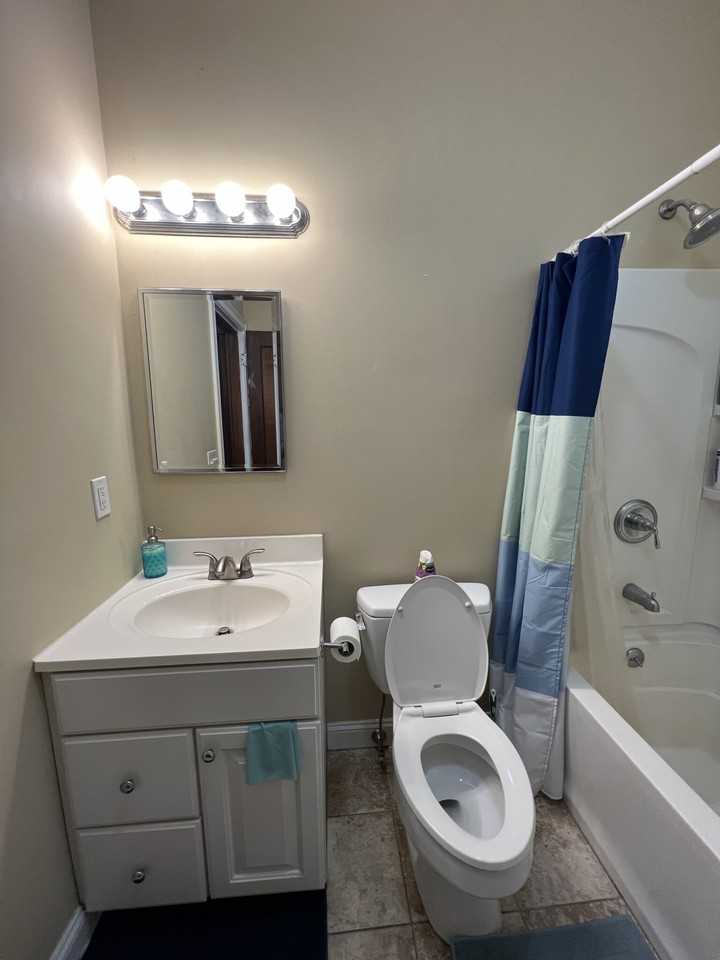 223 Holland St #1 - Photo 6 of 12