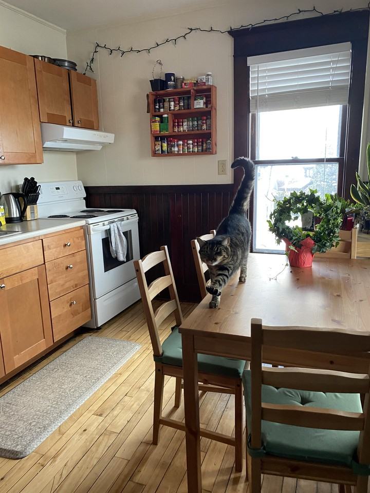 280 Maple St #3 - Photo 4 of 10