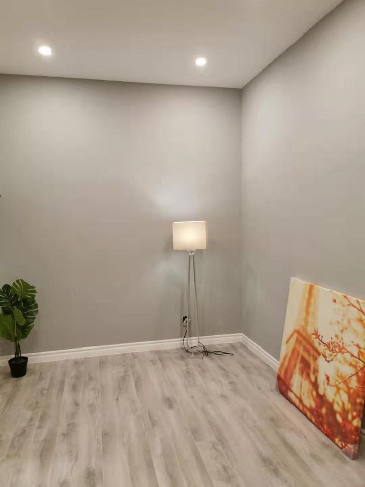 310 Cannon Street East #1 - Photo 3 of 29