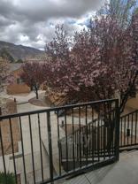 2401 Chelwood Park Blvd Ne #G - Photo 1 of 1