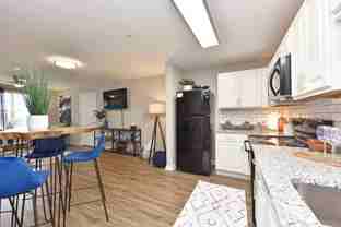 Grayson - Photo 1 of 1