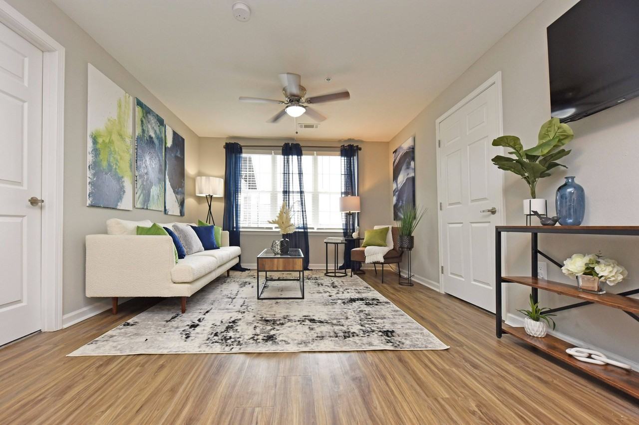 Grayson - Photo 7 of 50