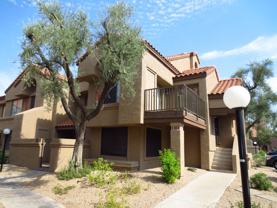 925 N College Ave #C210 - Photo 1 of 1